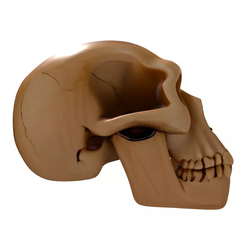 Stylized Wooden Skull 3D Model – Low Poly Game Asset, PBR Textures - View 9