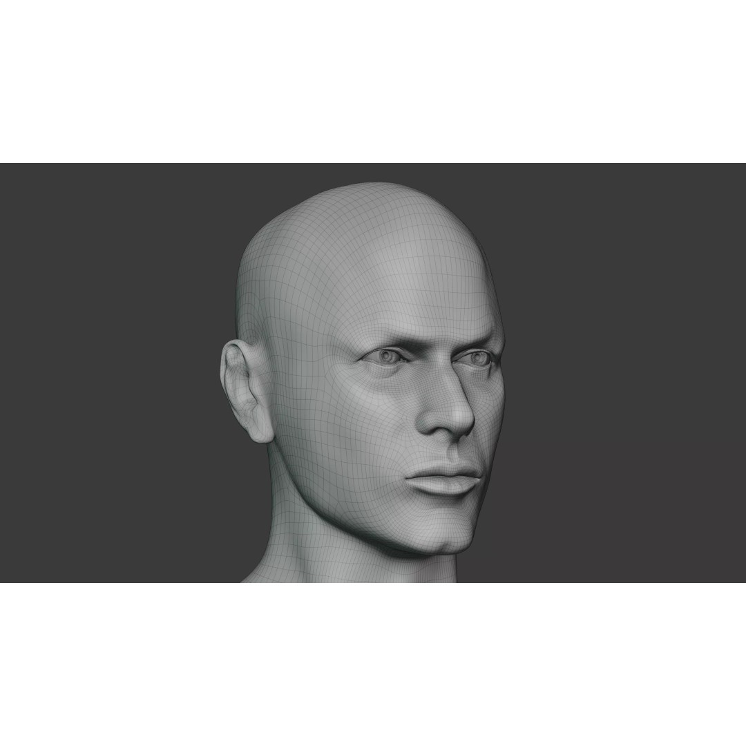 Male Human Body 3D Model – Anatomical Base Mesh for Medical Visualization