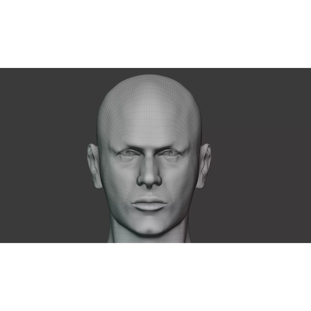 Male Human Body 3D Model – Anatomical Base Mesh for Medical Visualization - View 10