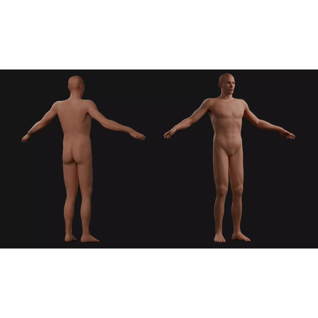 Male Human Body 3D Model – Anatomical Base Mesh for Medical Visualization - View 3