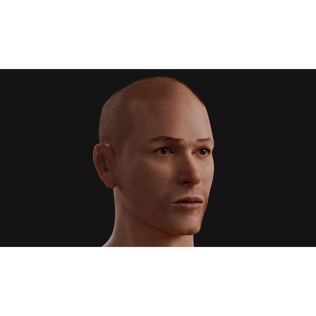 Male Human Body 3D Model – Anatomical Base Mesh for Medical Visualization - View 6