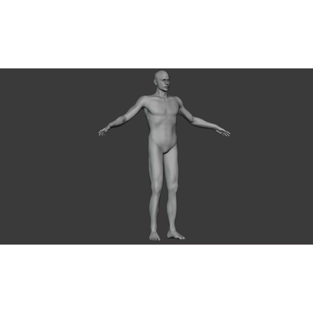Male Human Body 3D Model – Anatomical Base Mesh for Medical Visualization - View 8