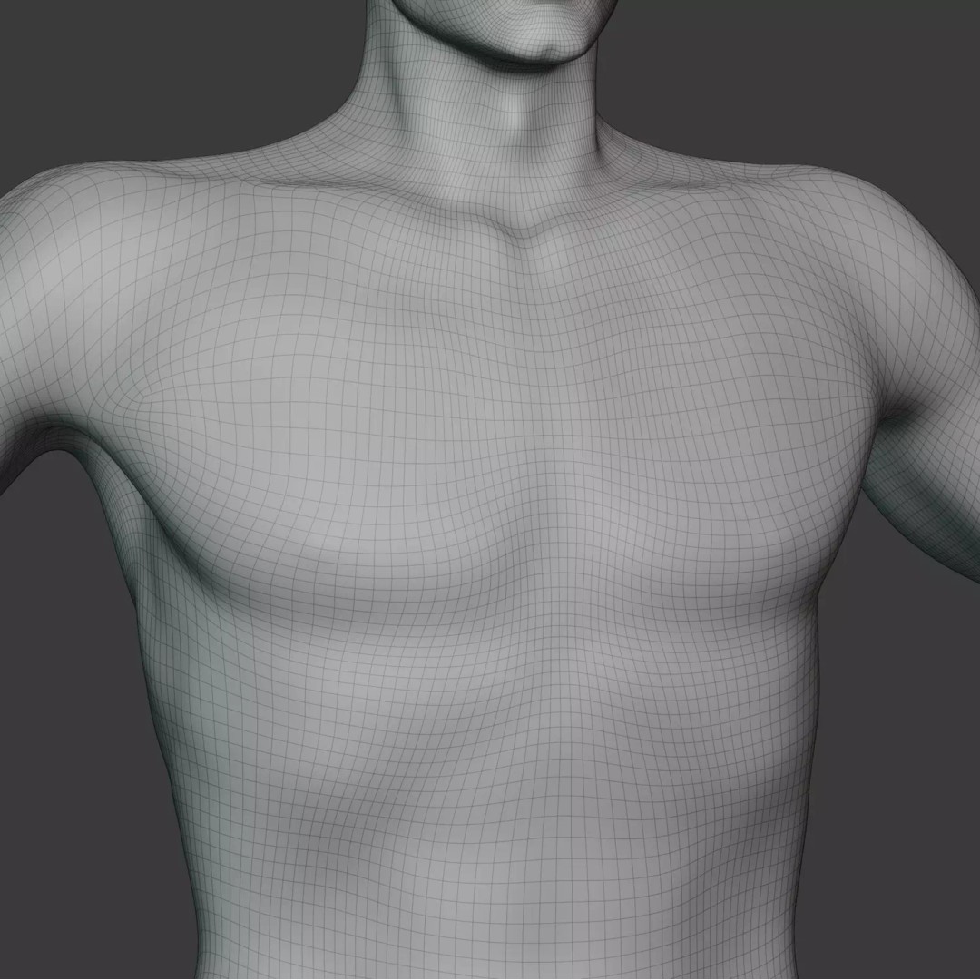 Male Human Body 3D Model – Anatomical Base Mesh for Medical Visualization - View 9