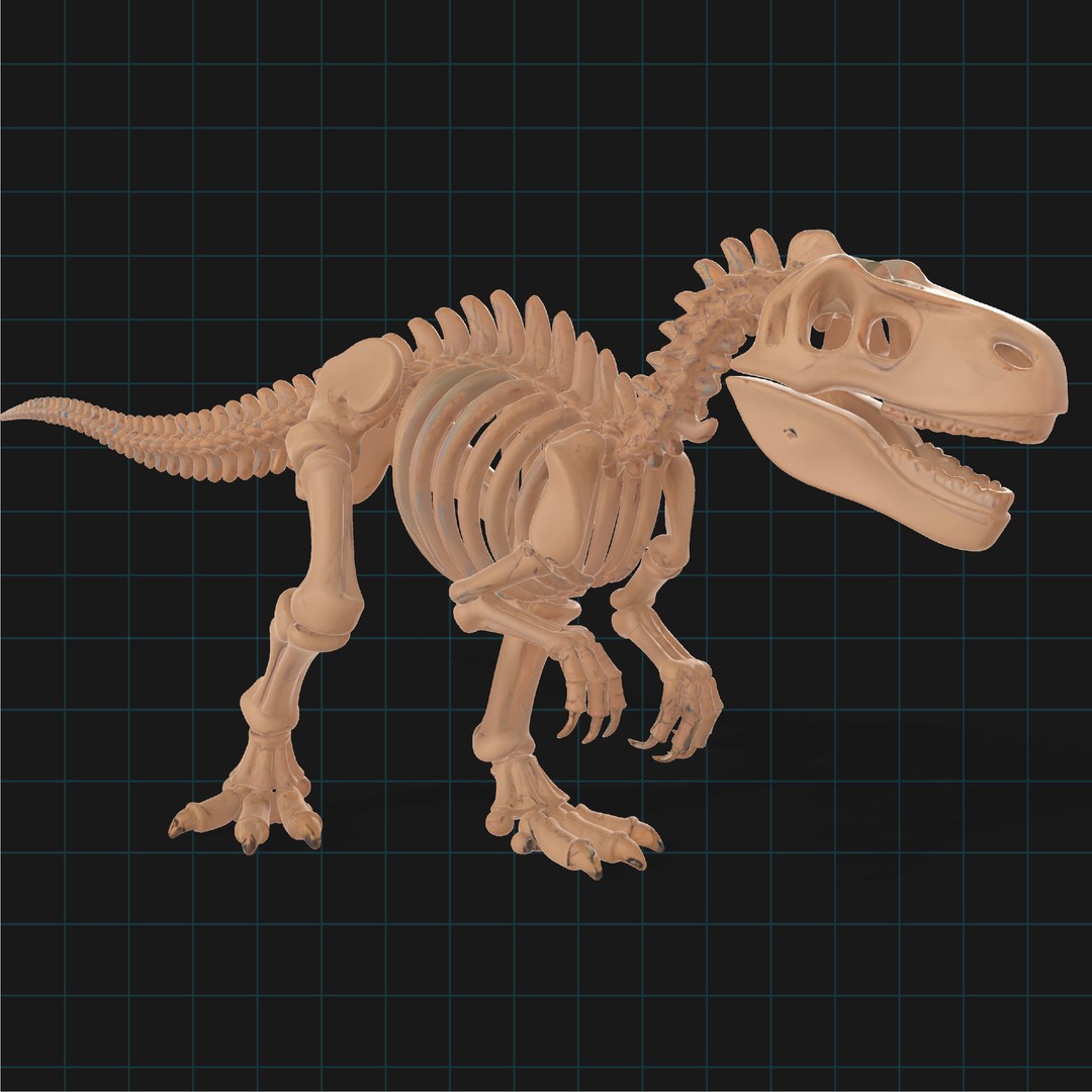 T-Rex Dinosaur Skeleton 3D Model – Detailed Prehistoric Fossil, FBX, OBJ