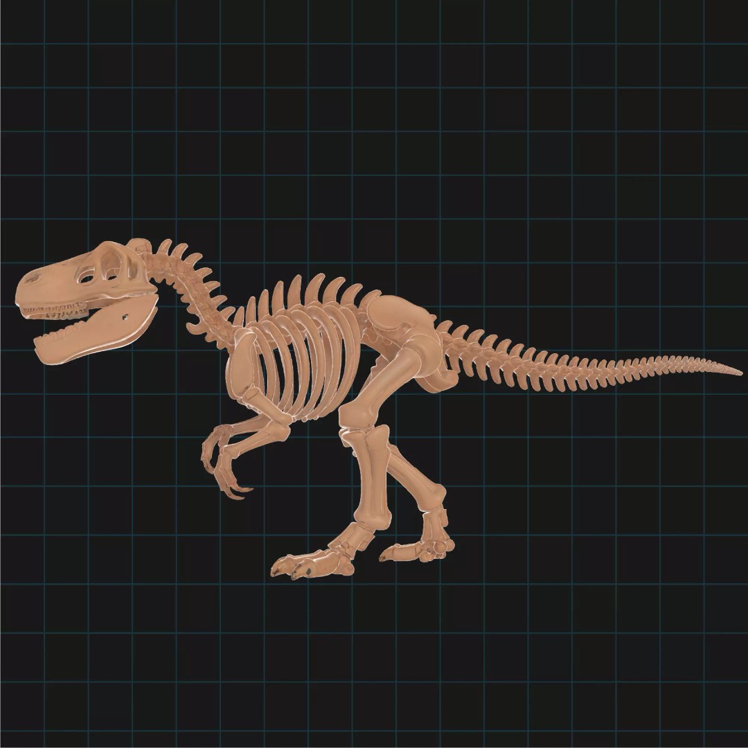 T-Rex Dinosaur Skeleton 3D Model – Detailed Prehistoric Fossil, FBX, OBJ - View 2