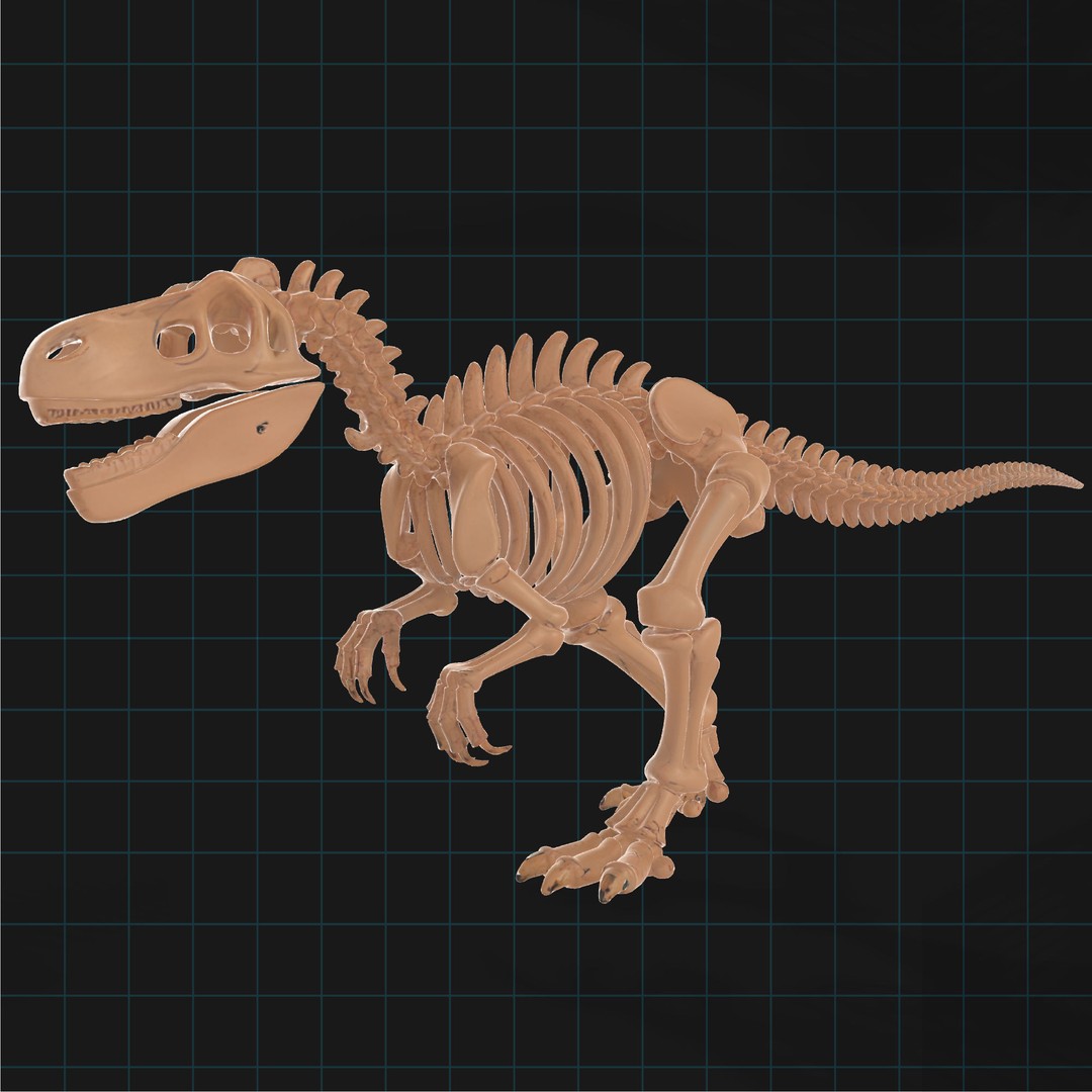 T-Rex Dinosaur Skeleton 3D Model – Detailed Prehistoric Fossil, FBX, OBJ - View 3
