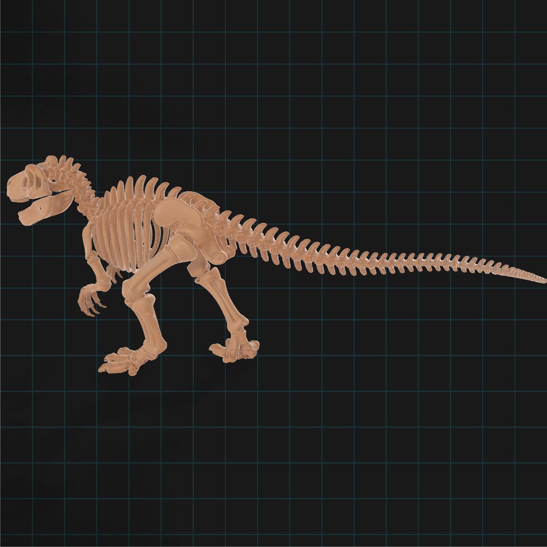 T-Rex Dinosaur Skeleton 3D Model – Detailed Prehistoric Fossil, FBX, OBJ - View 4