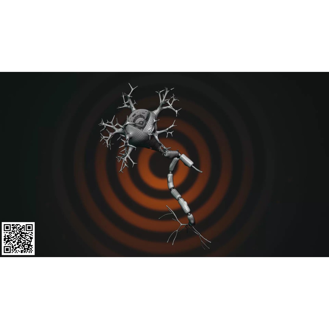Multipolar Neuron 3D Model – Anatomically Accurate, PBR Textures - View 3