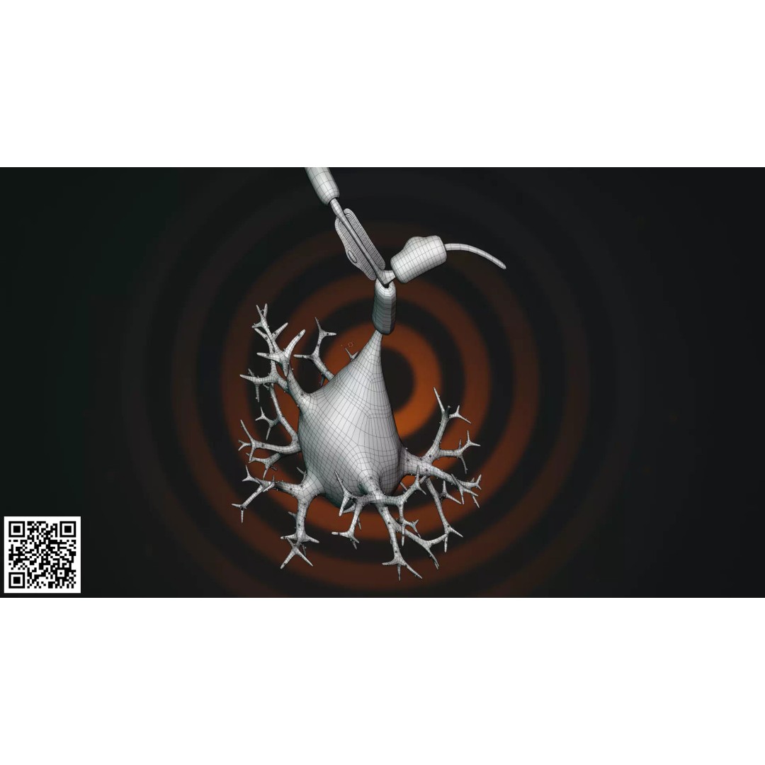Multipolar Neuron 3D Model – Anatomically Accurate, PBR Textures - View 7
