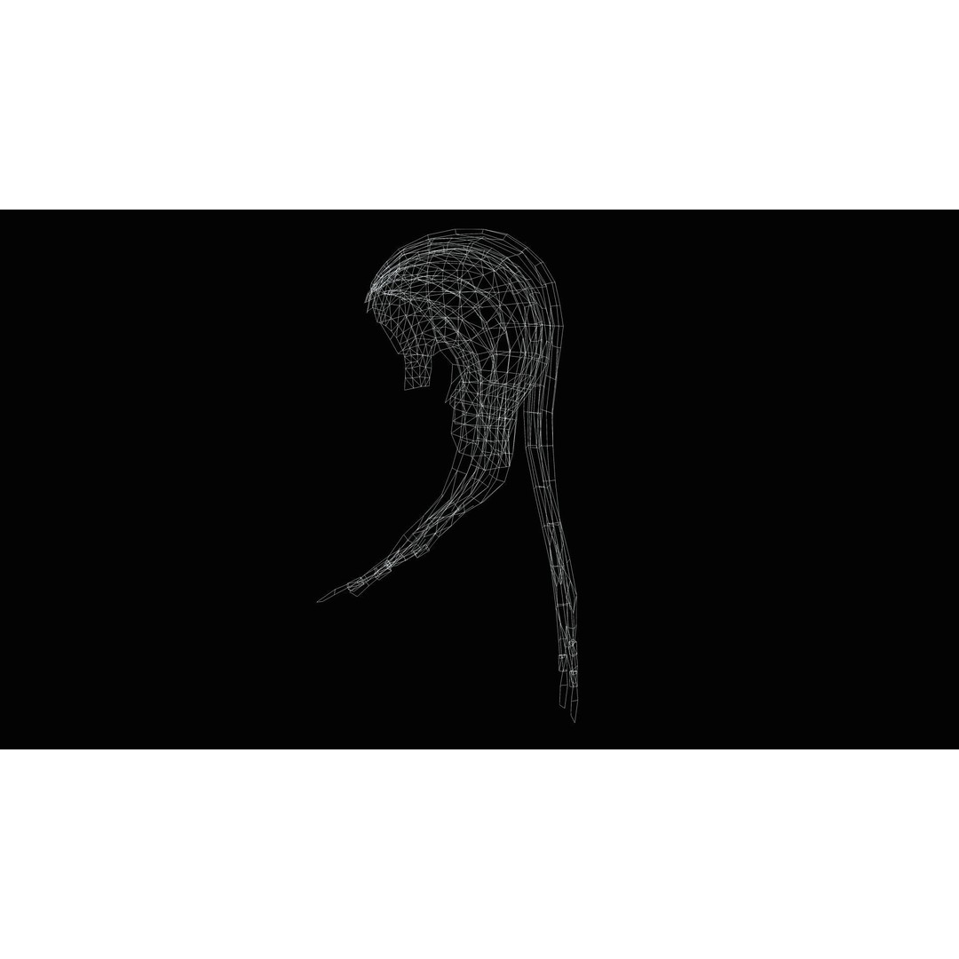 Dread Braided Hair 3D Model – Low Poly Game Asset, Customizable - View 10