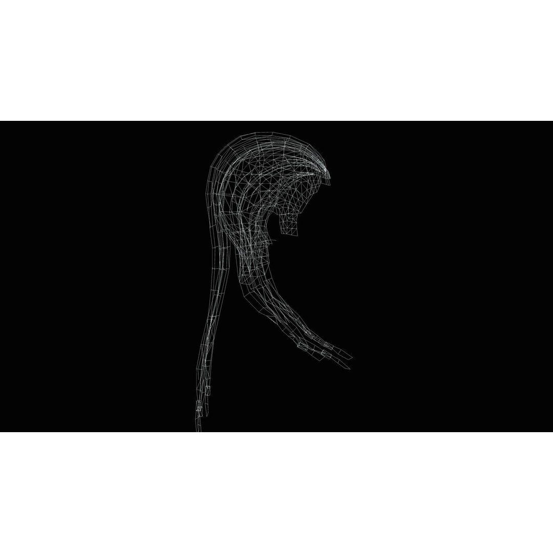 Dread Braided Hair 3D Model – Low Poly Game Asset, Customizable - View 11