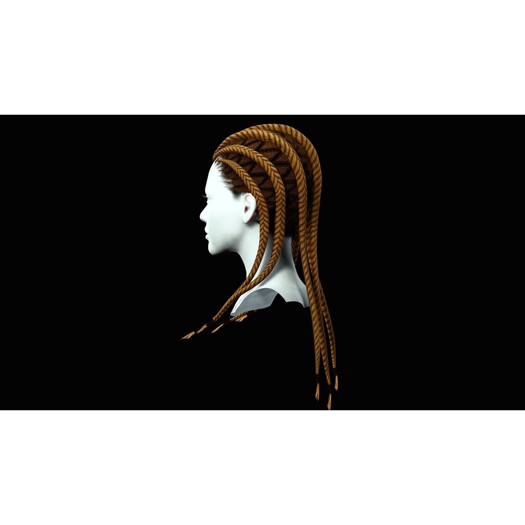 Dread Braided Hair 3D Model – Low Poly Game Asset, Customizable - View 6