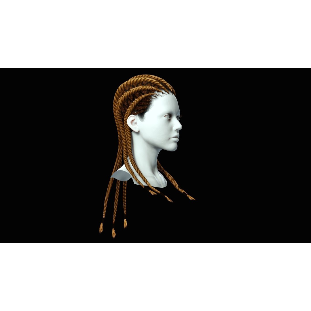 Dread Braided Hair 3D Model – Low Poly Game Asset, Customizable - View 9
