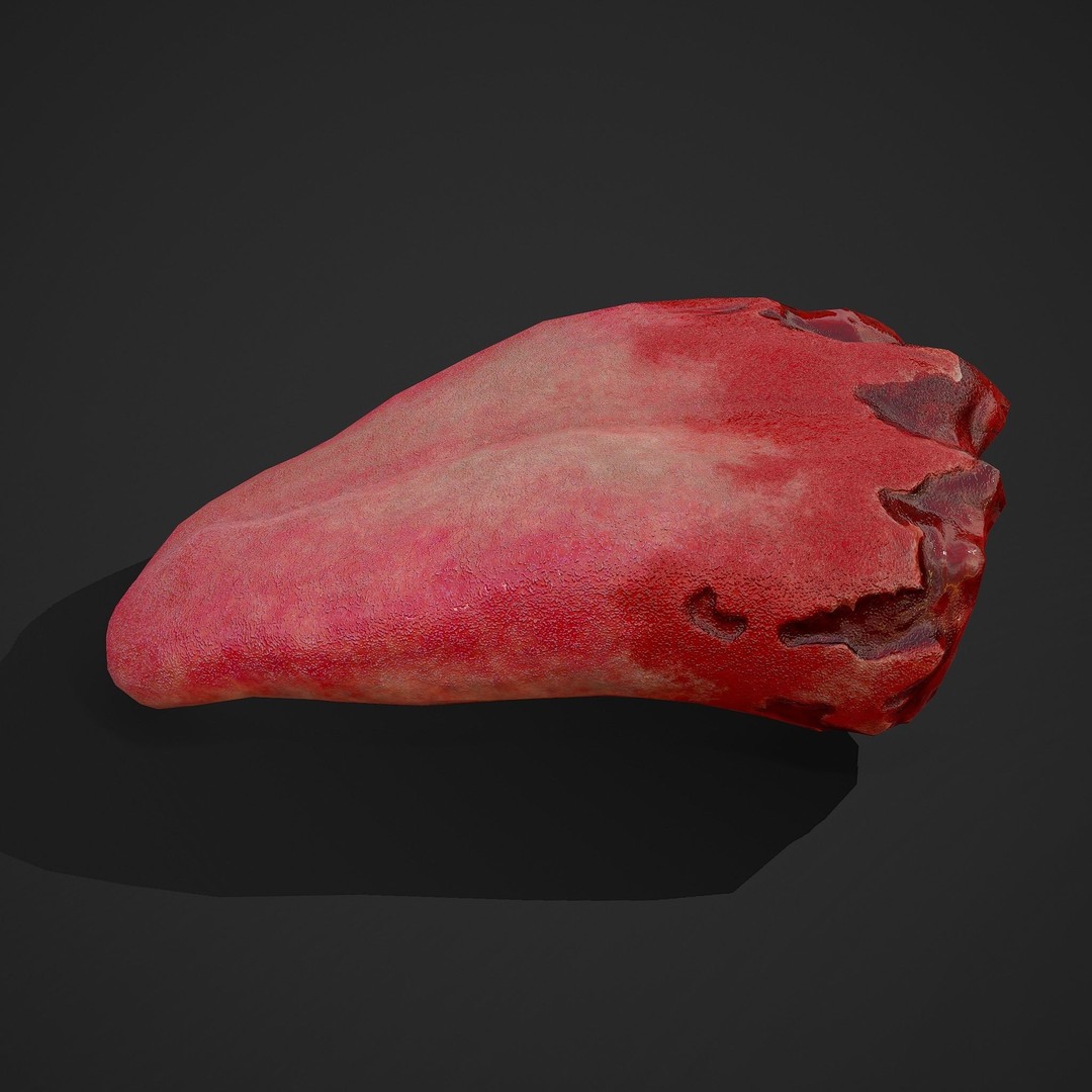 Severed Tongue 3D Model – Low Poly PBR Asset, FBX Format - View 14