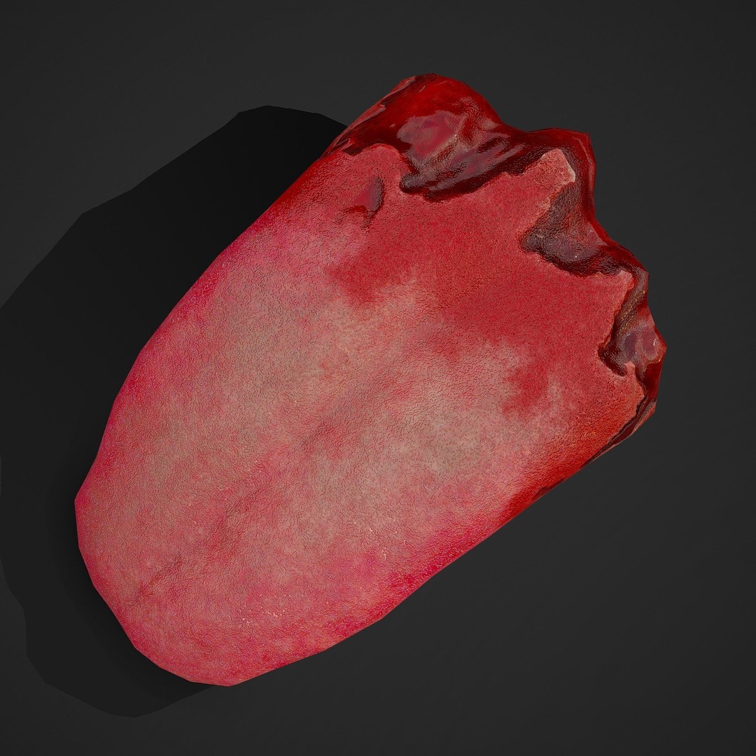 Severed Tongue 3D Model – Low Poly PBR Asset, FBX Format - View 15