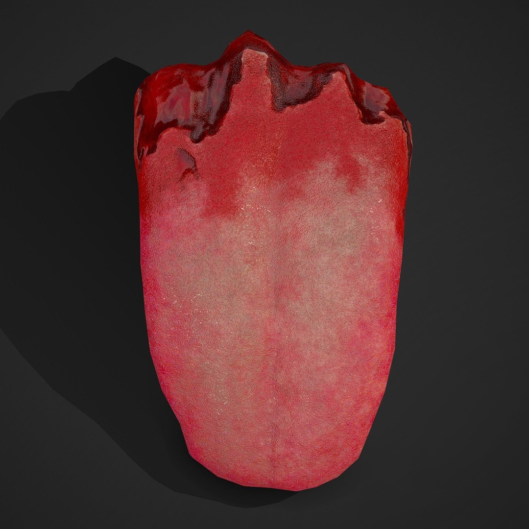 Severed Tongue 3D Model – Low Poly PBR Asset, FBX Format - View 16
