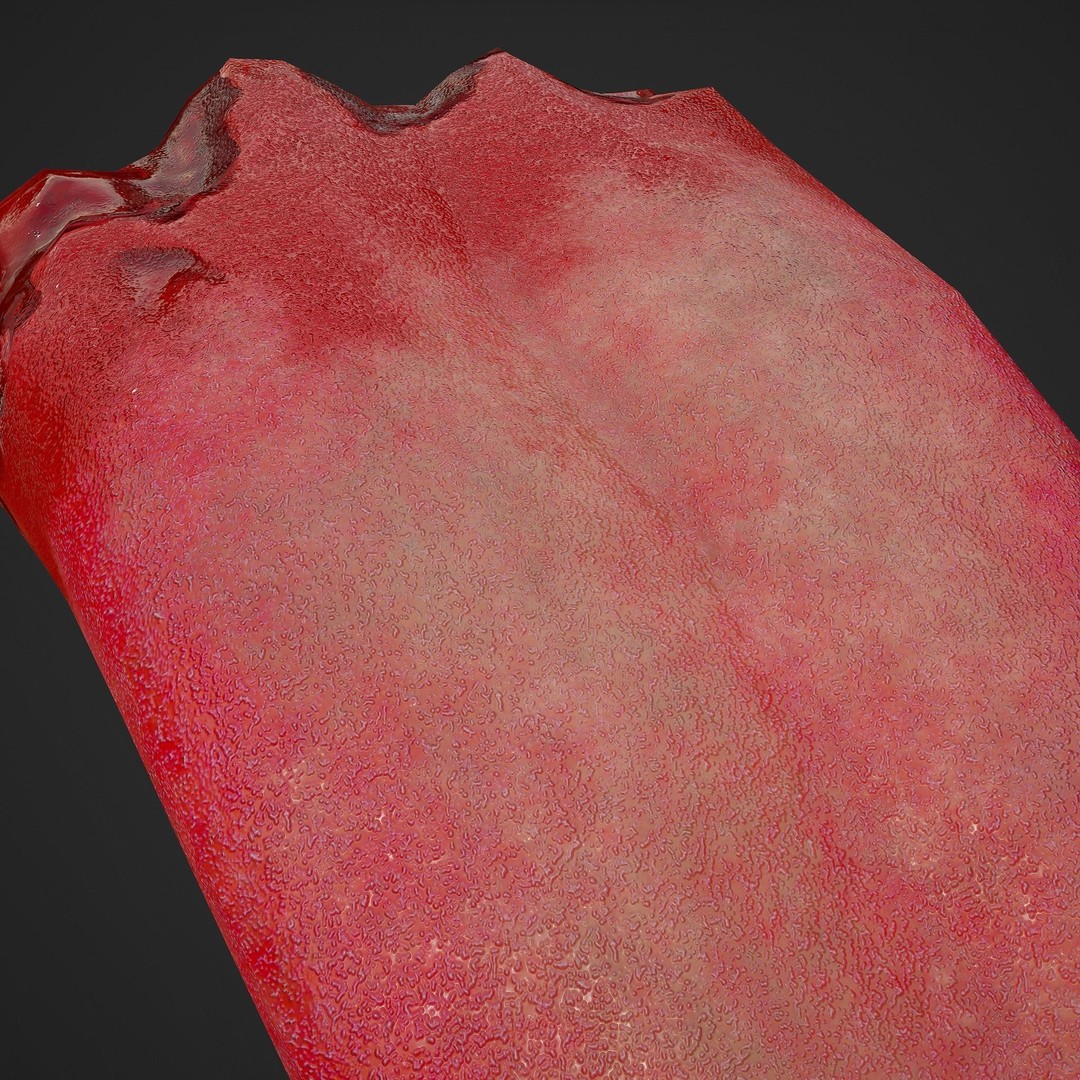 Severed Tongue 3D Model – Low Poly PBR Asset, FBX Format - View 19