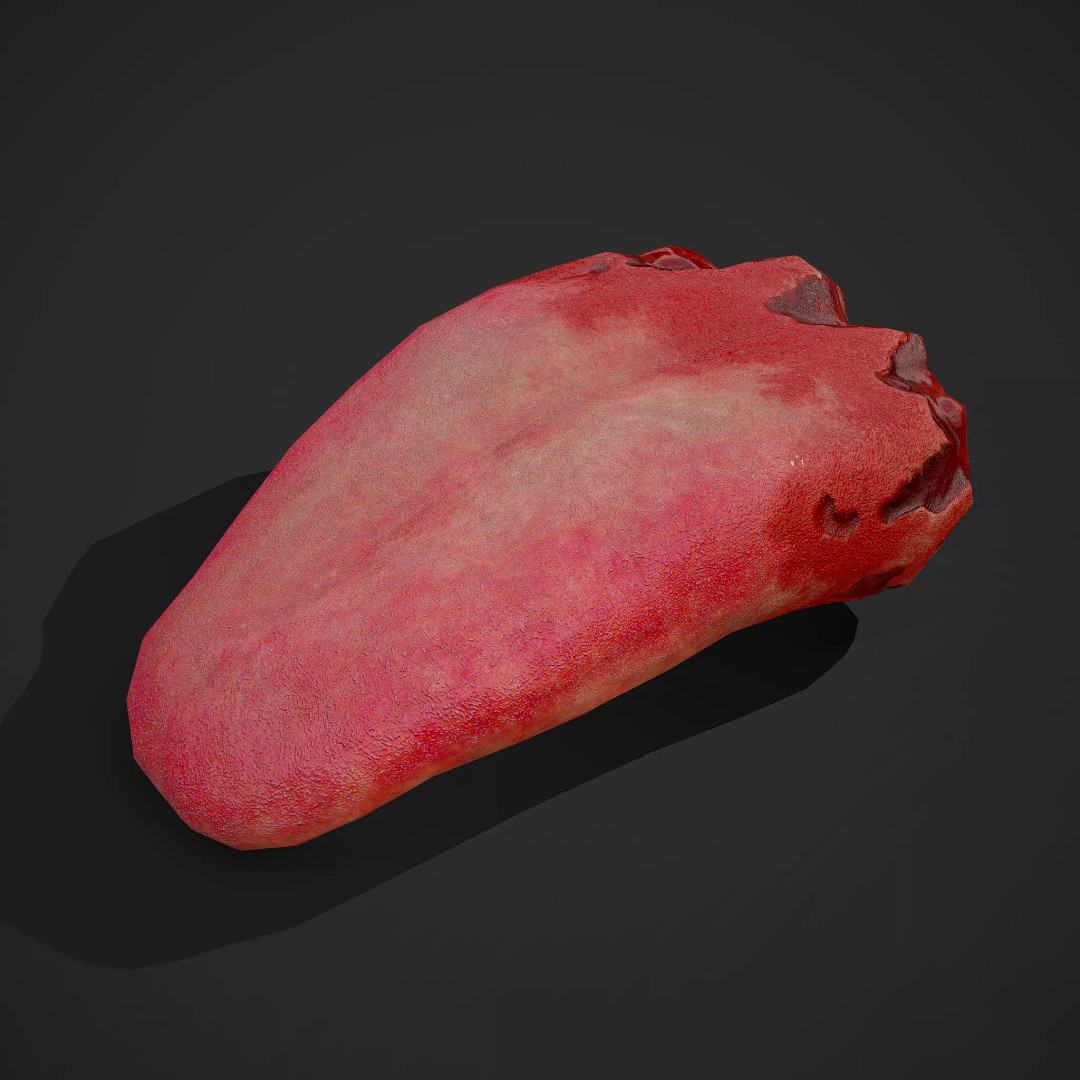 Severed Tongue 3D Model – Low Poly PBR Asset, FBX Format - View 2