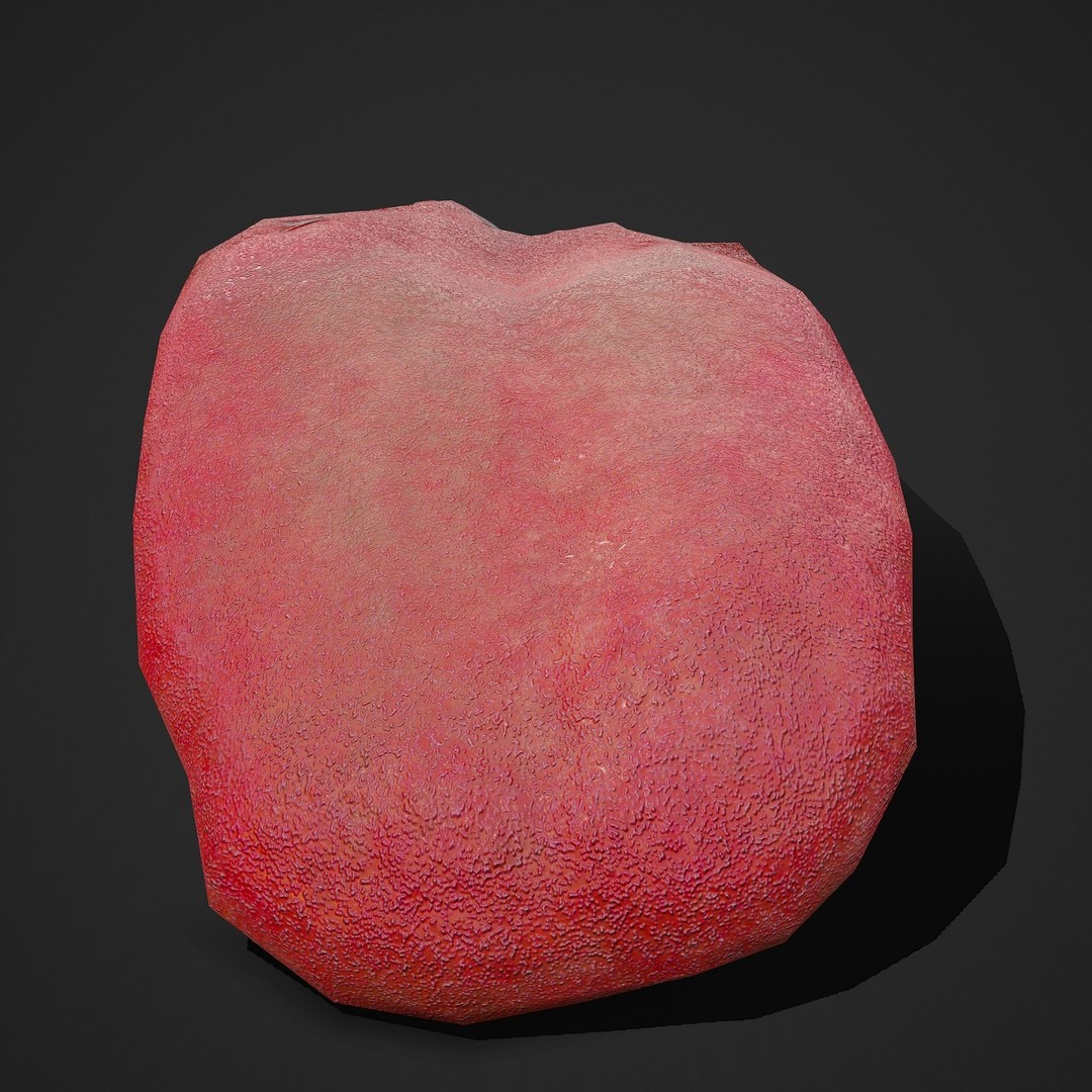 Severed Tongue 3D Model – Low Poly PBR Asset, FBX Format - View 20