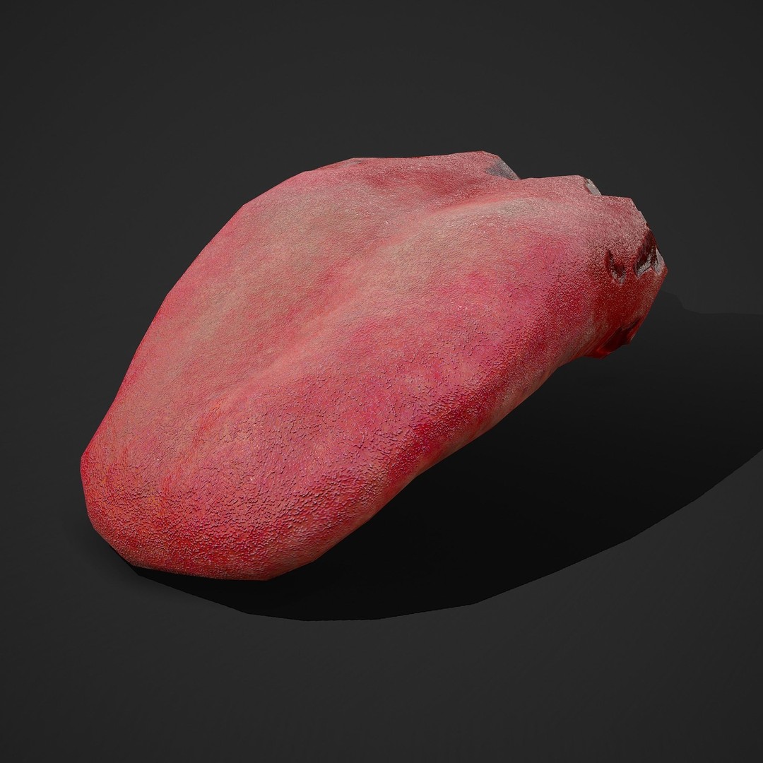 Severed Tongue 3D Model – Low Poly PBR Asset, FBX Format - View 21