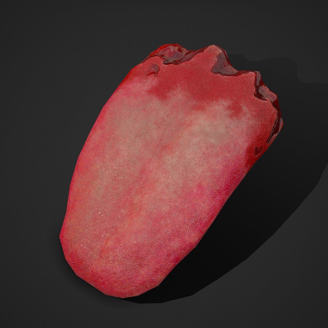 Severed Tongue 3D Model – Low Poly PBR Asset, FBX Format - View 22