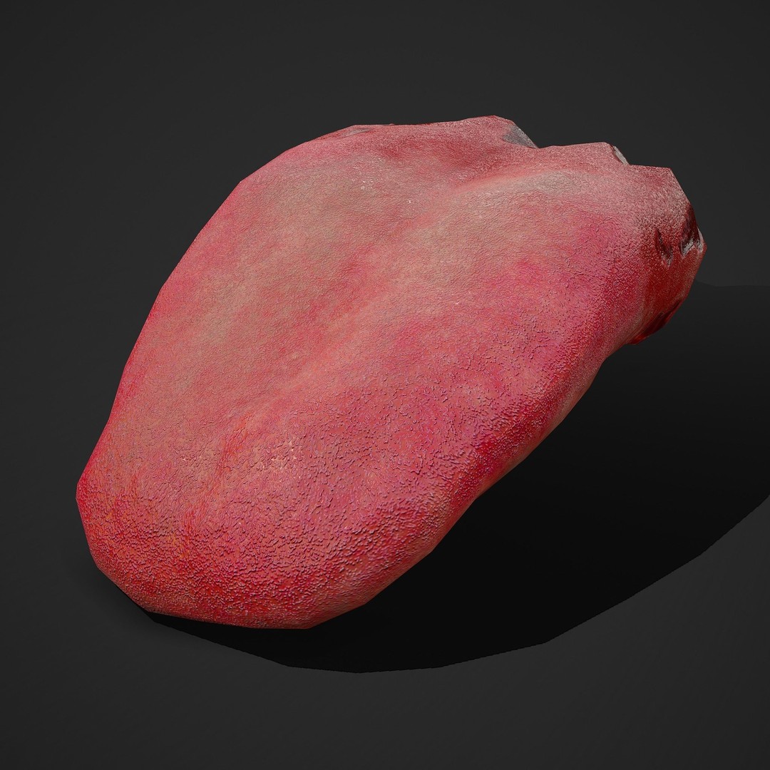 Severed Tongue 3D Model – Low Poly PBR Asset, FBX Format - View 23
