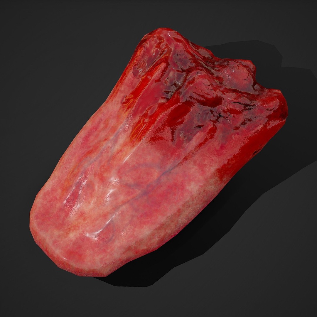 Severed Tongue 3D Model – Low Poly PBR Asset, FBX Format - View 25