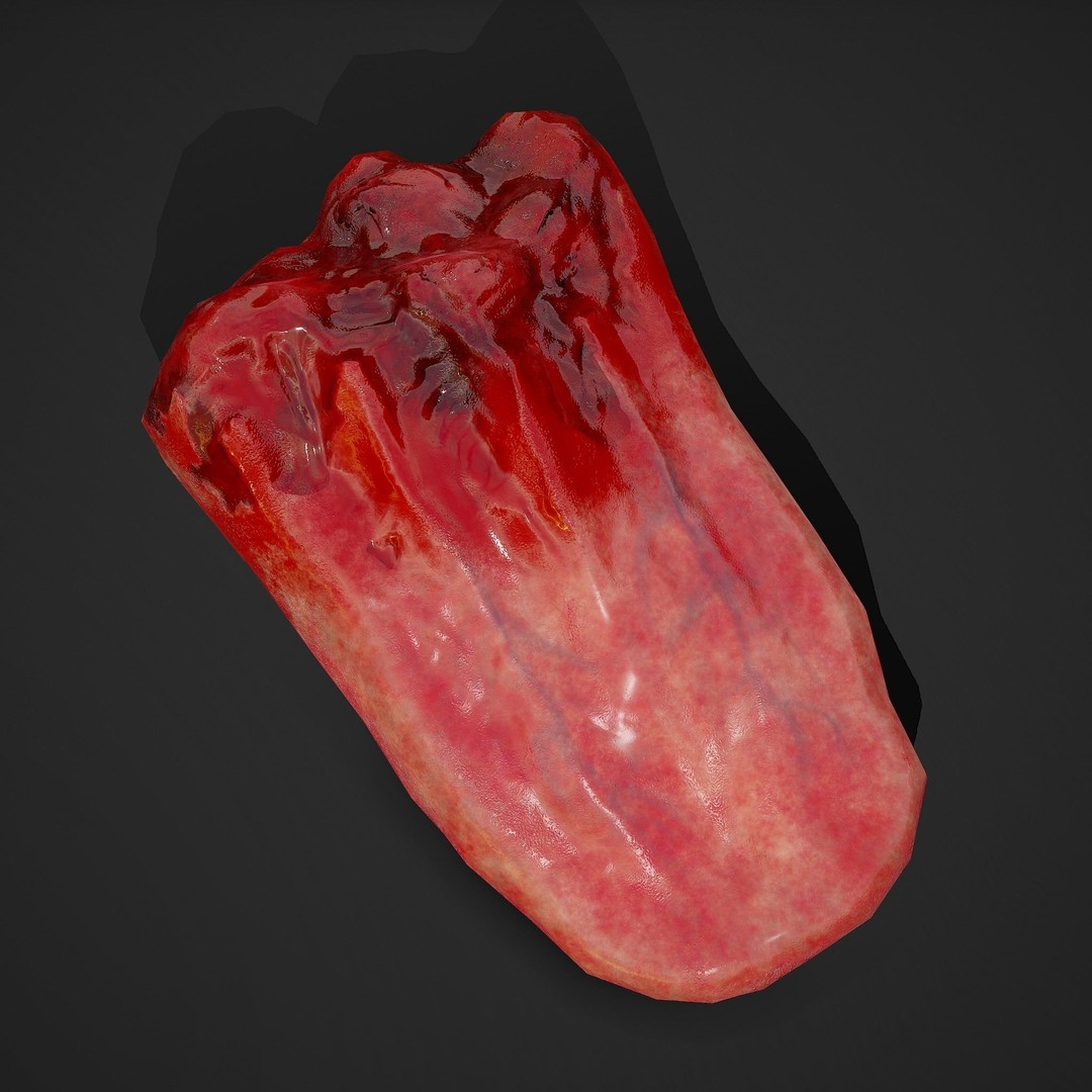 Severed Tongue 3D Model – Low Poly PBR Asset, FBX Format - View 4