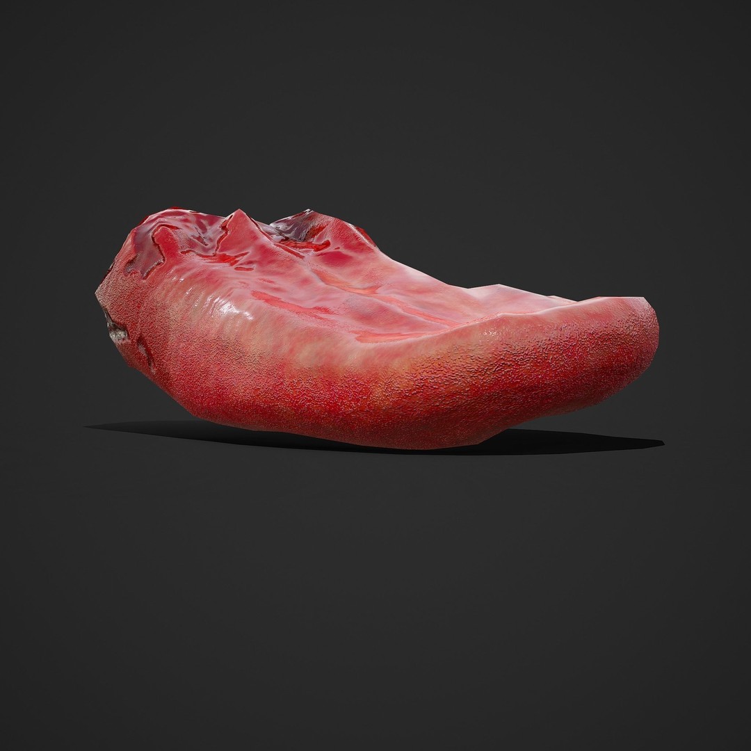 Severed Tongue 3D Model – Low Poly PBR Asset, FBX Format - View 5