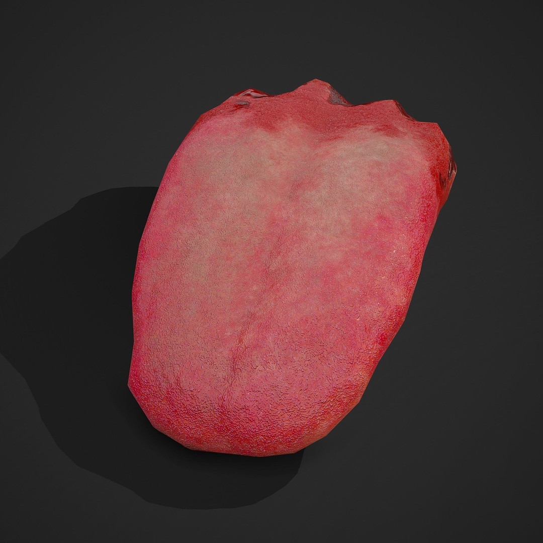 Severed Tongue 3D Model – Low Poly PBR Asset, FBX Format - View 6