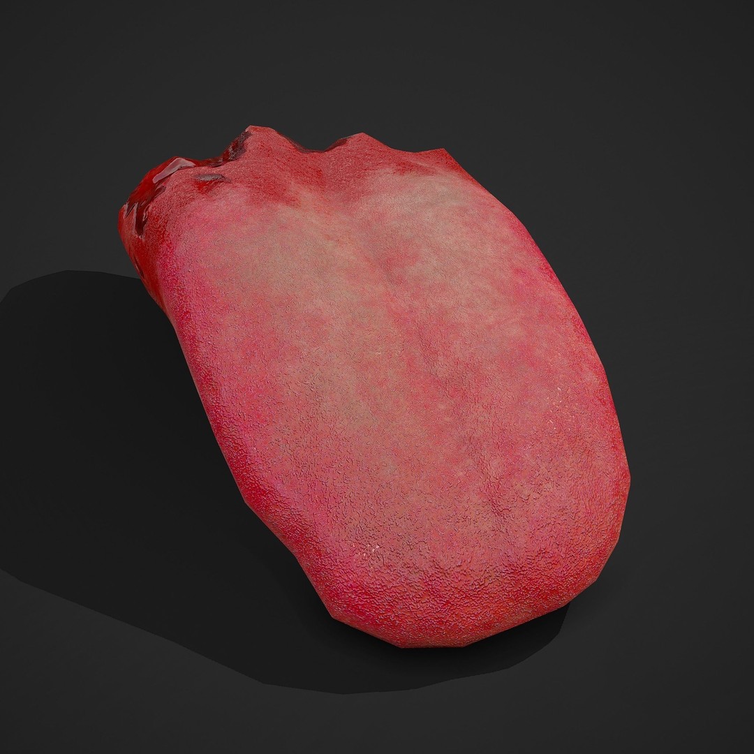Severed Tongue 3D Model – Low Poly PBR Asset, FBX Format - View 7