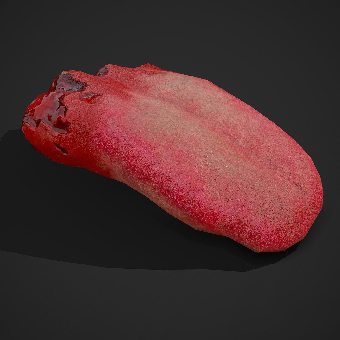 Severed Tongue 3D Model – Low Poly PBR Asset, FBX Format - View 8