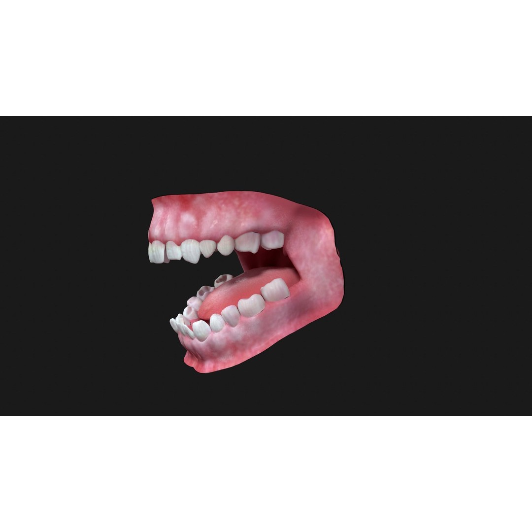 Teeth 3D Model – PBR Game Asset for Arnold Render, OBJ