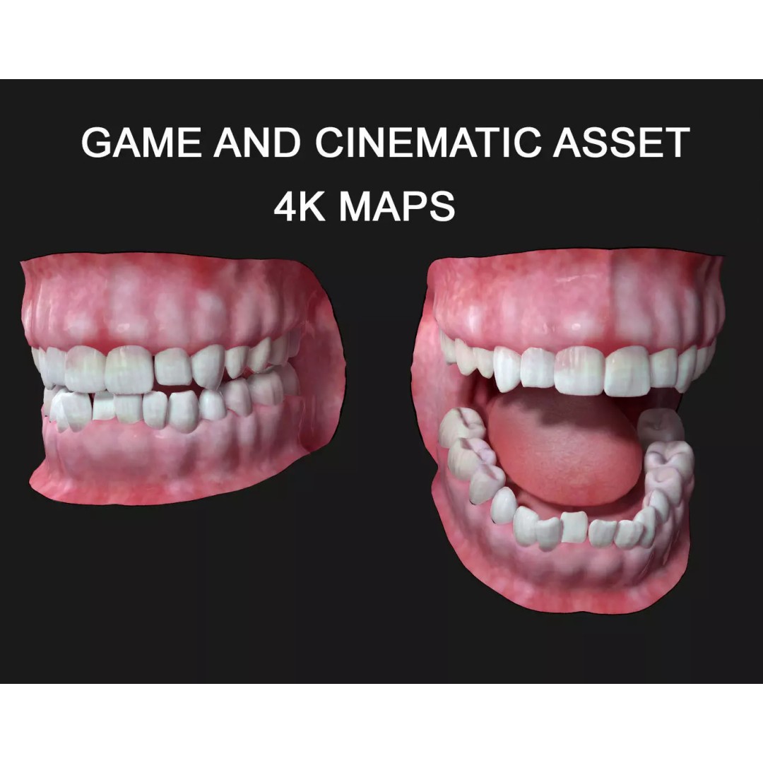 Teeth 3D Model – PBR Game Asset for Arnold Render, OBJ - View 2