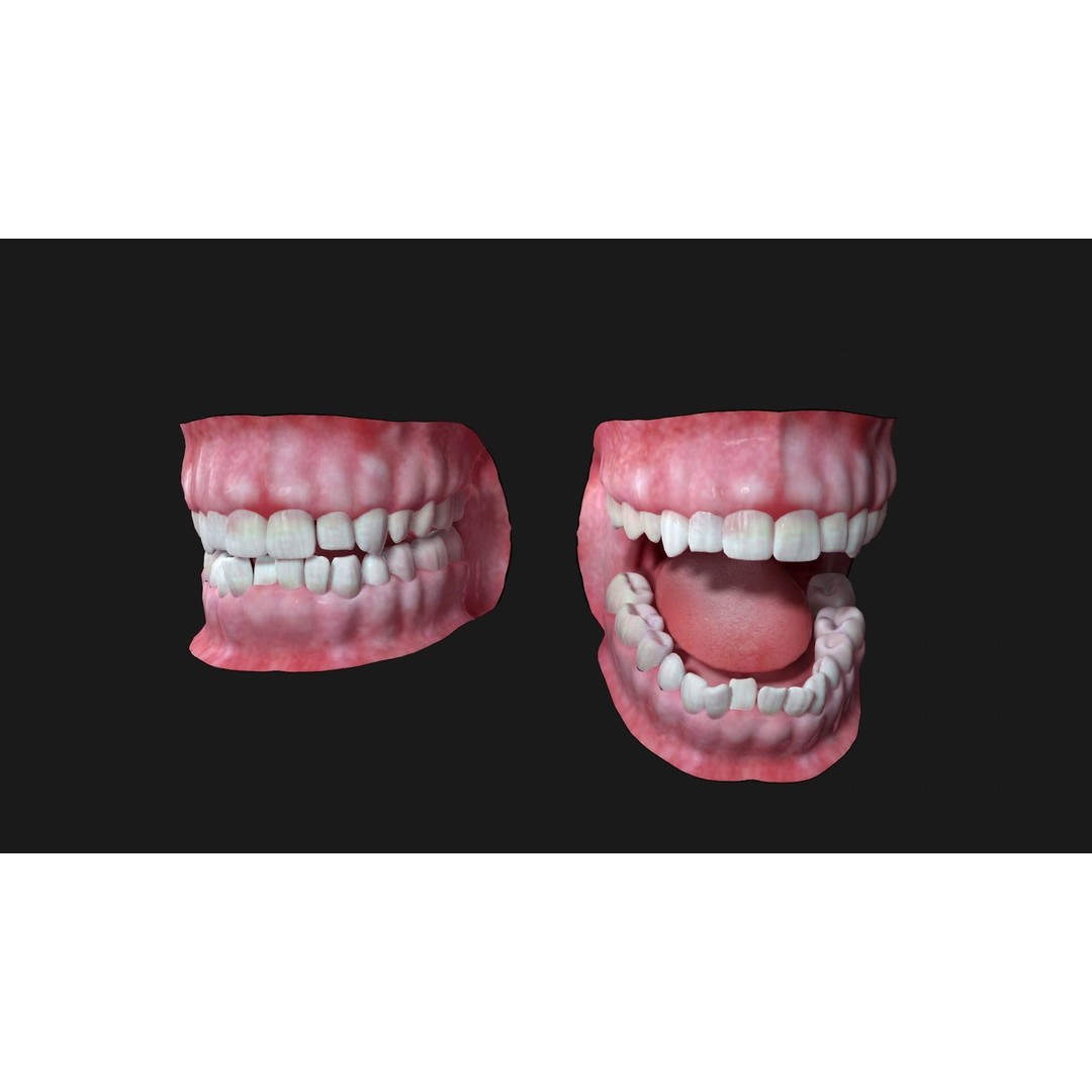 Teeth 3D Model – PBR Game Asset for Arnold Render, OBJ - View 4