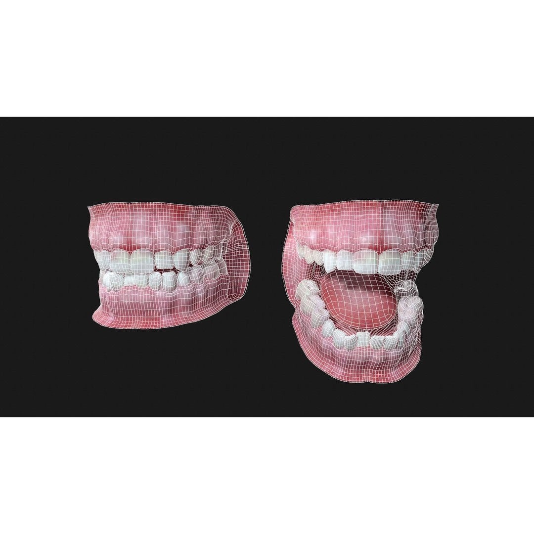 Teeth 3D Model – PBR Game Asset for Arnold Render, OBJ - View 5