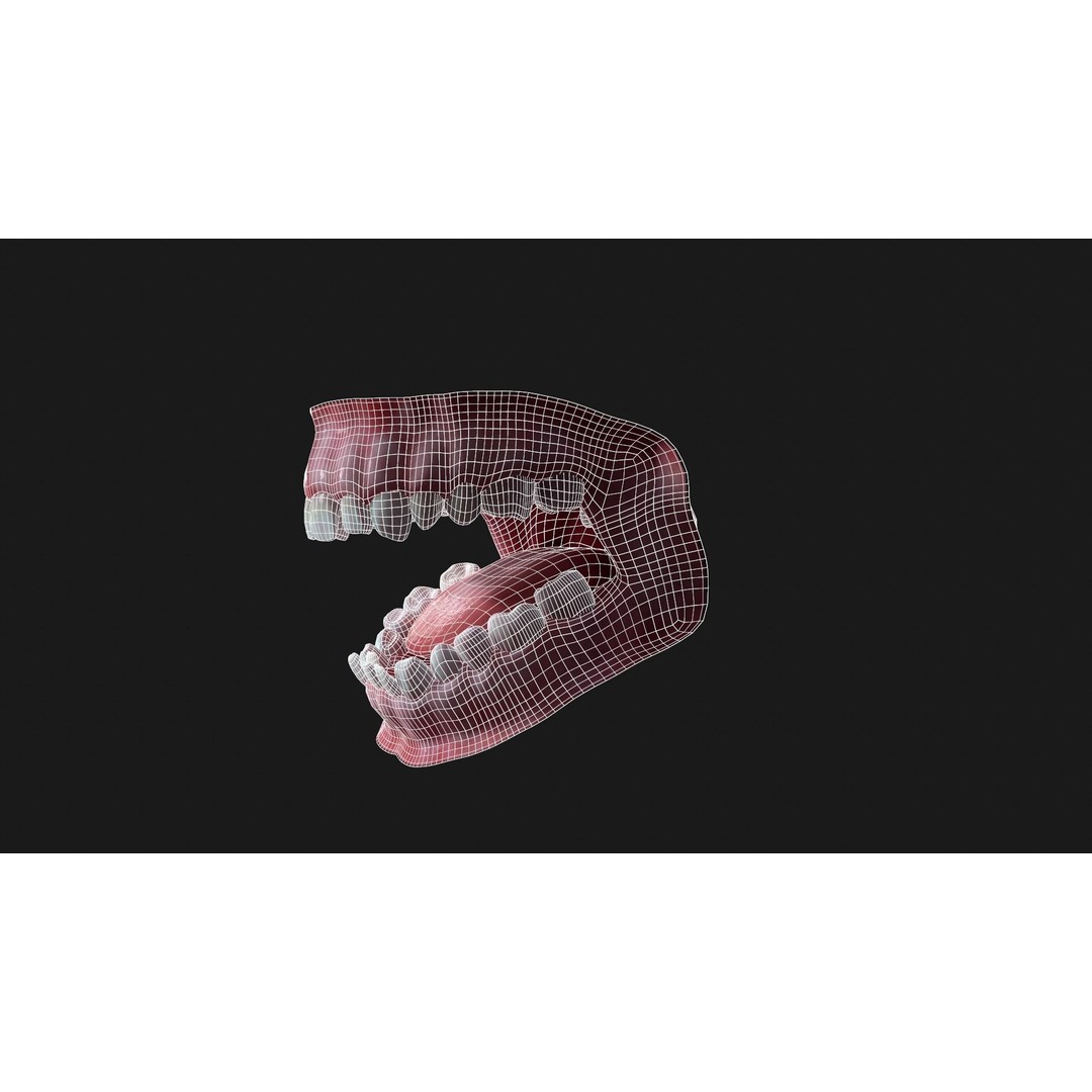 Teeth 3D Model – PBR Game Asset for Arnold Render, OBJ - View 6