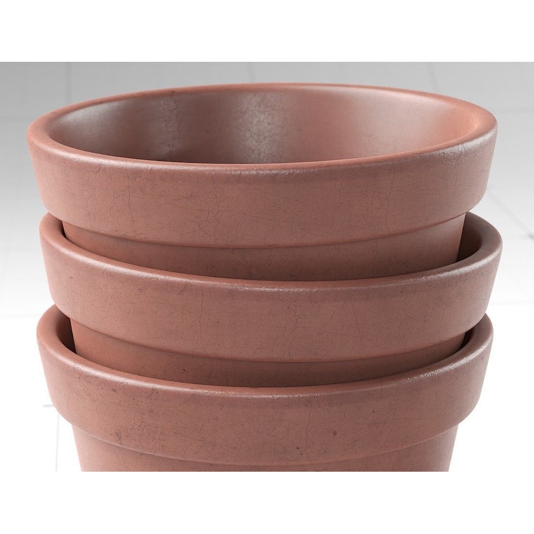 Flower Pot 3D Model – Detailed PBR Decoration for Blender - View 5