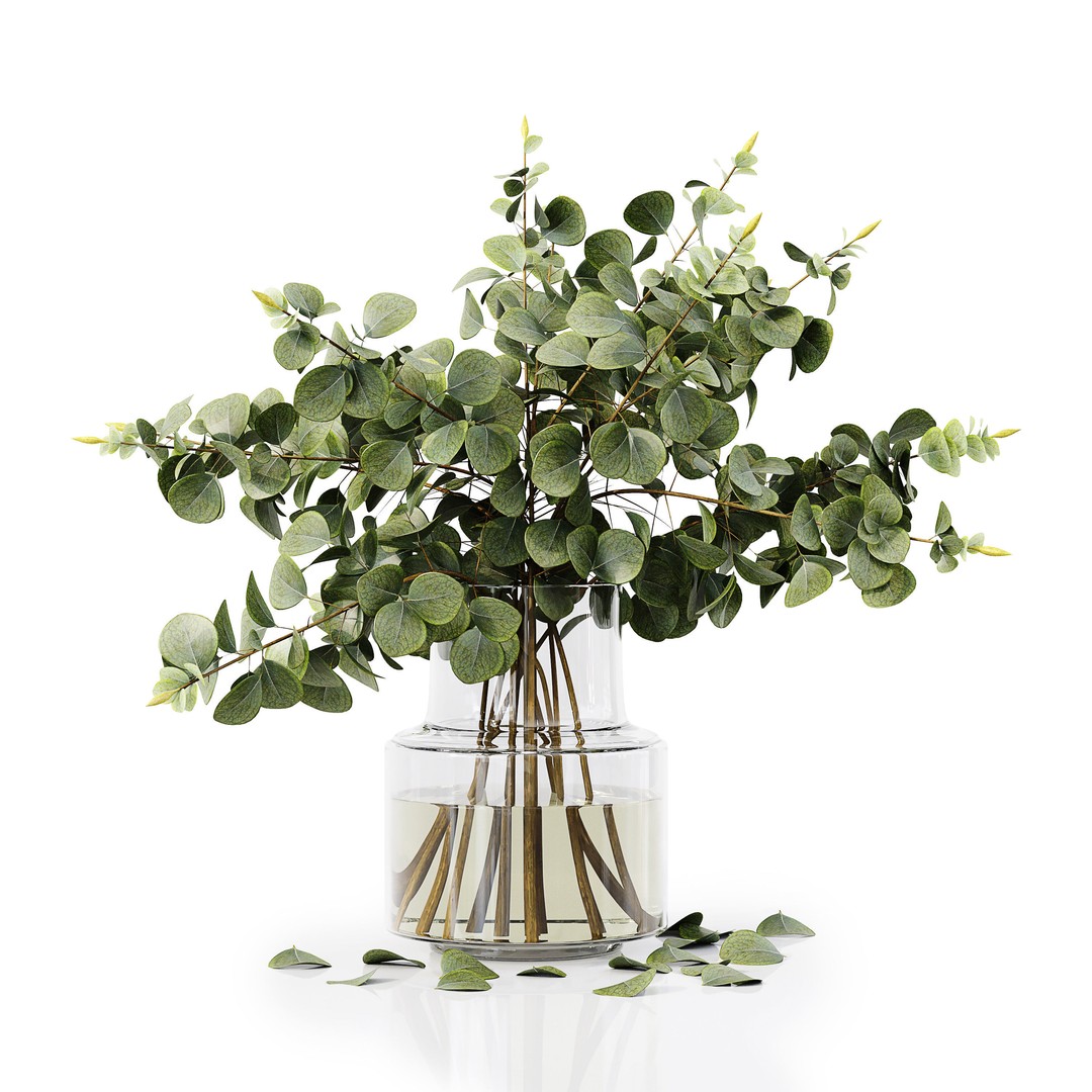 Indoor Plants Collection 3D Model – High Poly PBR Asset, FBX, OBJ - View 11