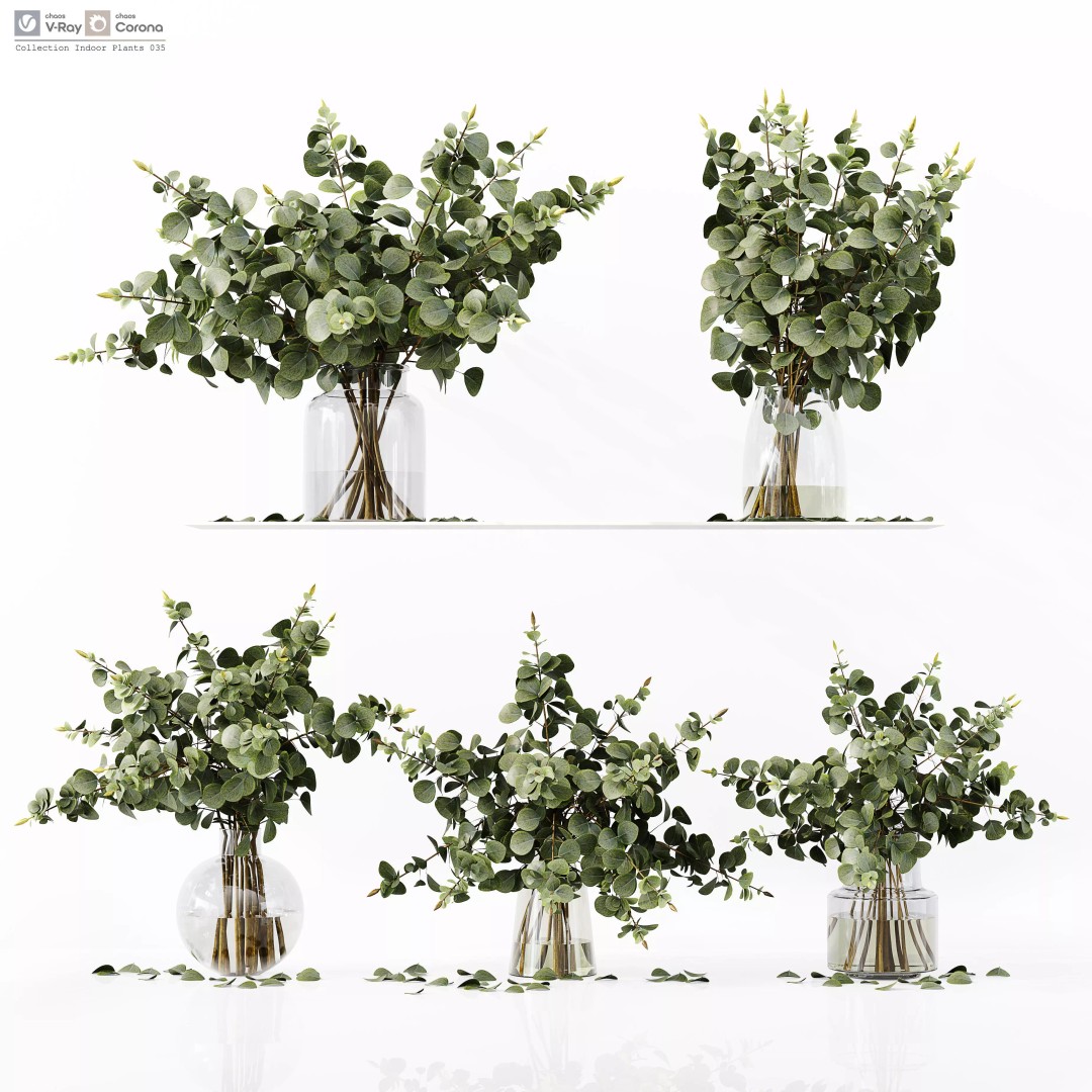Indoor Plants Collection 3D Model – High Poly PBR Asset, FBX, OBJ - View 2