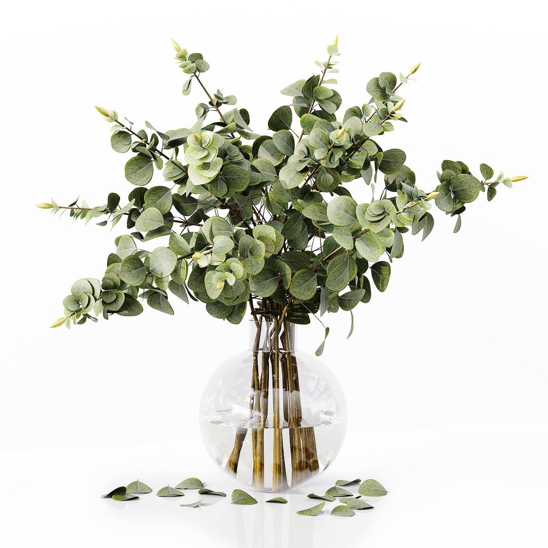 Indoor Plants Collection 3D Model – High Poly PBR Asset, FBX, OBJ - View 4