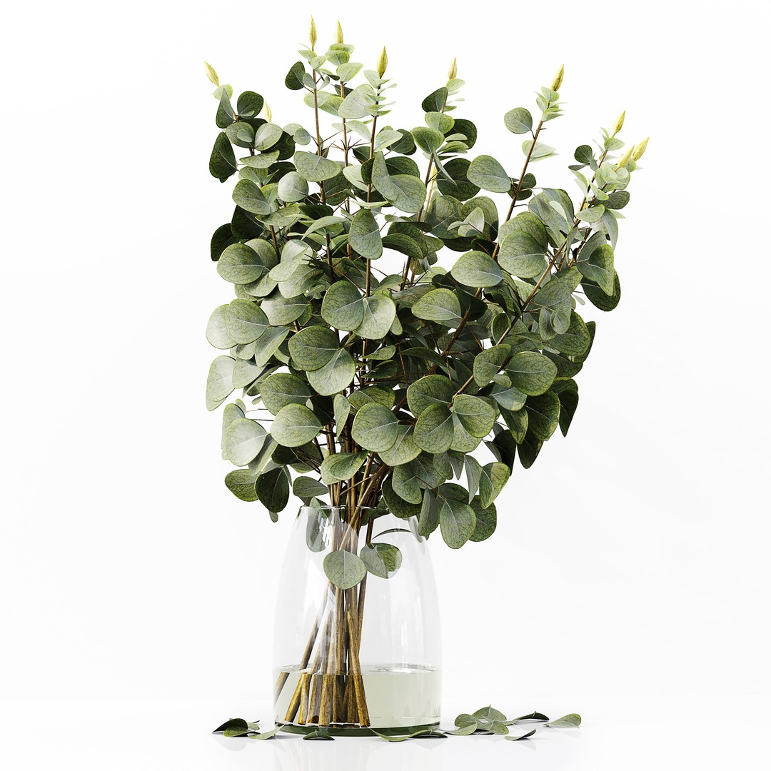 Indoor Plants Collection 3D Model – High Poly PBR Asset, FBX, OBJ - View 6