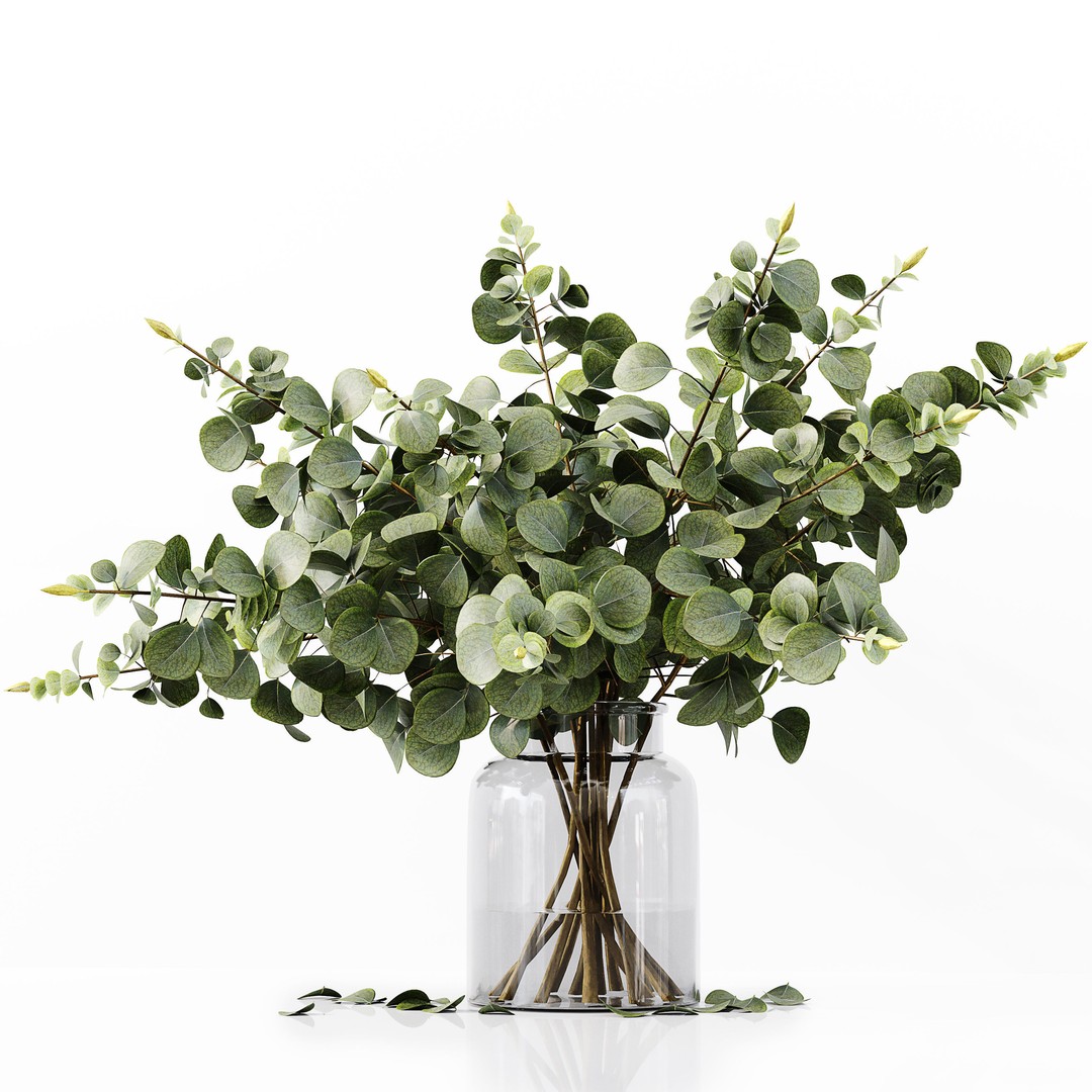 Indoor Plants Collection 3D Model – High Poly PBR Asset, FBX, OBJ - View 7
