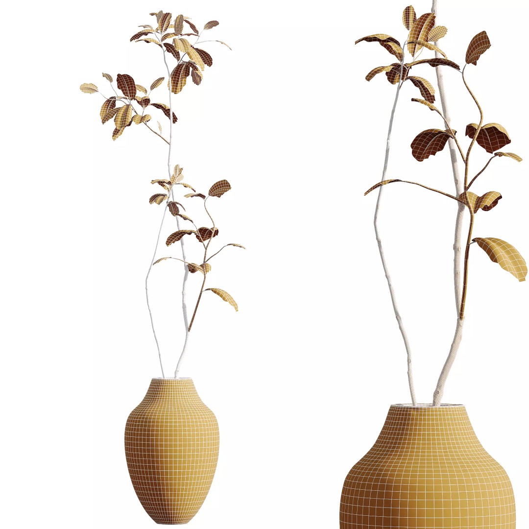 Ficus Dracaena Marginata 3D Model – Japandi Pot Plant Set, FBX/OBJ