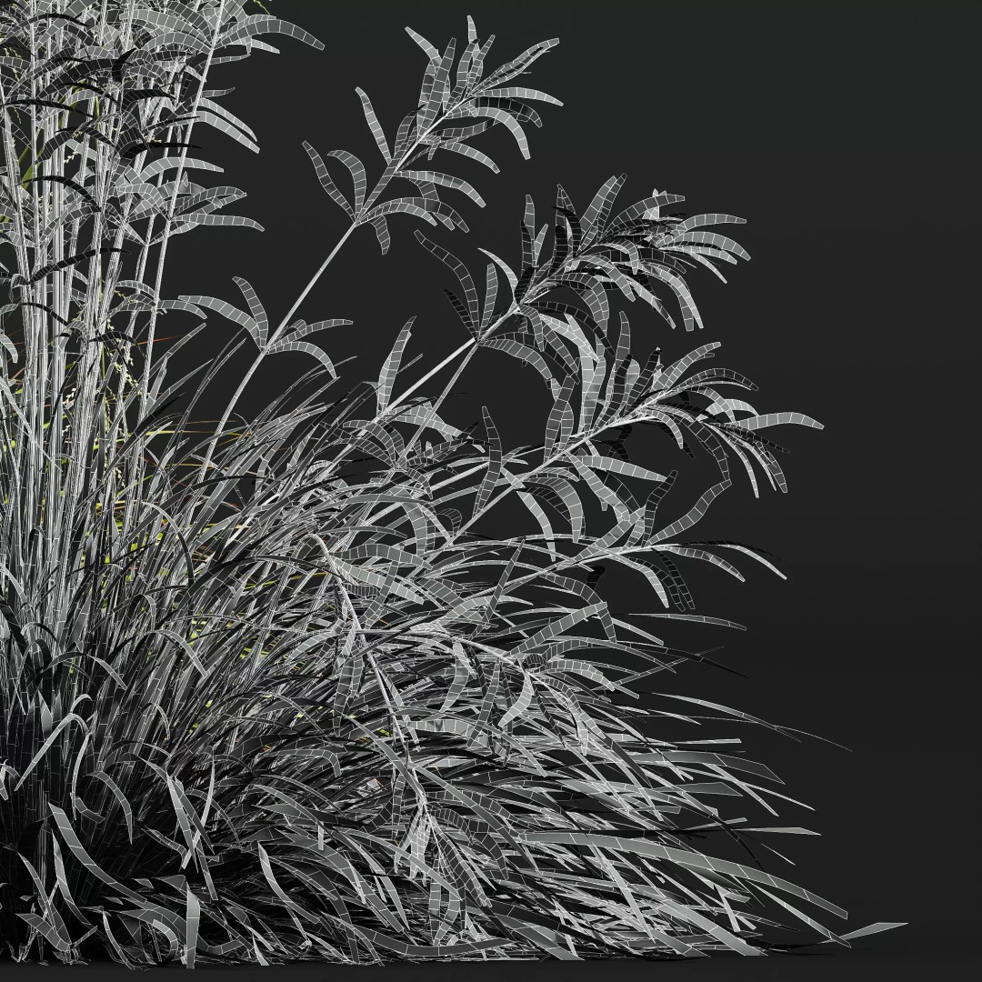 Stipa Arundinacea & Carex Elata Grasses 3D Model – High Poly PBR Asset - View 12