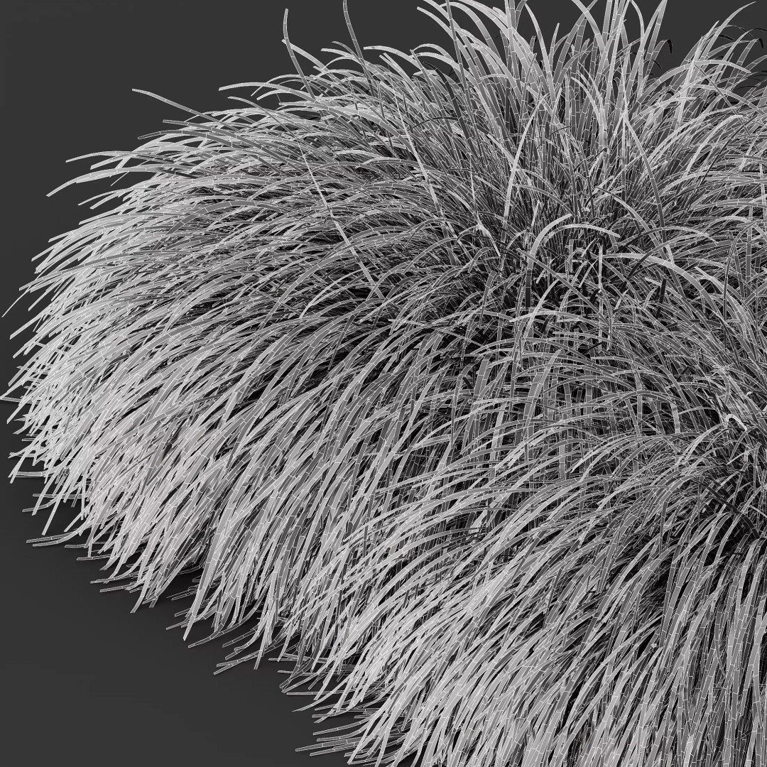 Stipa Arundinacea & Carex Elata Grasses 3D Model – High Poly PBR Asset - View 13