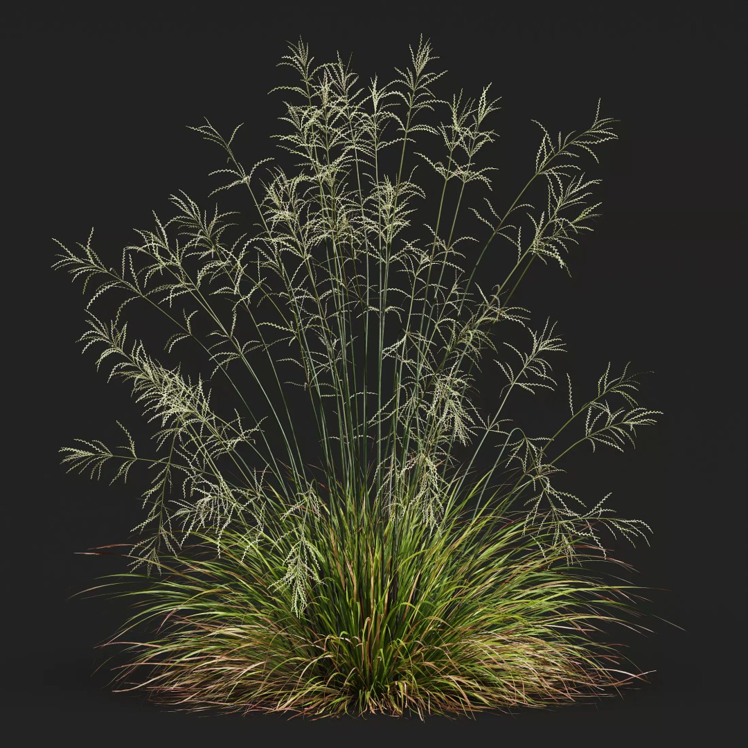 Stipa Arundinacea & Carex Elata Grasses 3D Model – High Poly PBR Asset - View 6