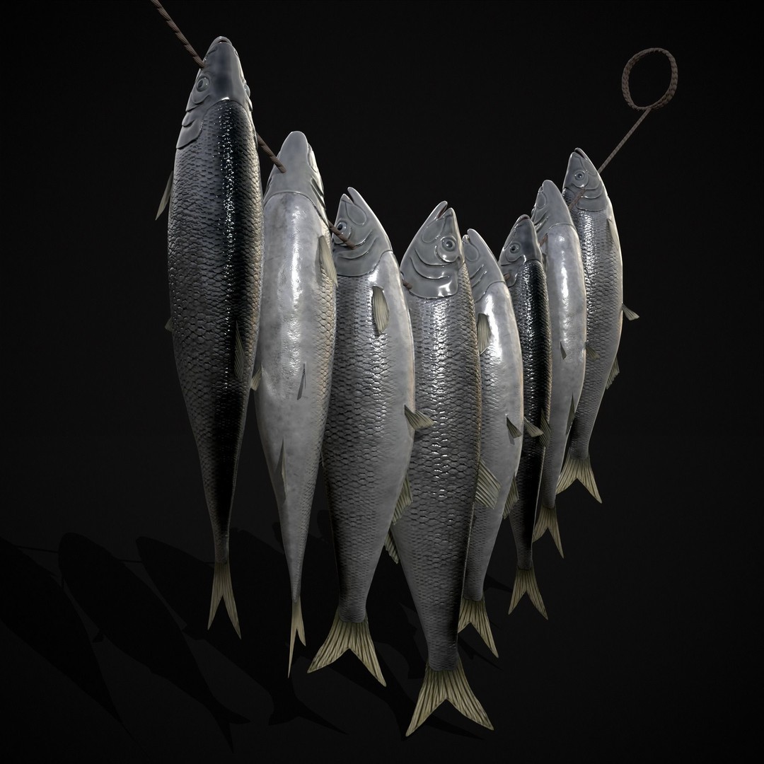 Hanging Herring Fish 3D Model – Low Poly PBR Asset, FBX & OBJ - View 10