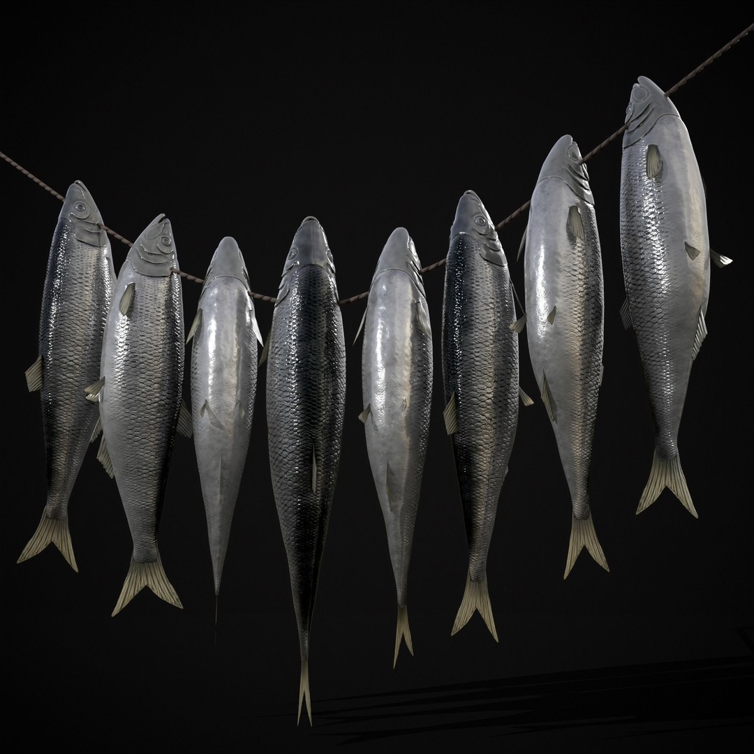 Hanging Herring Fish 3D Model – Low Poly PBR Asset, FBX & OBJ - View 12