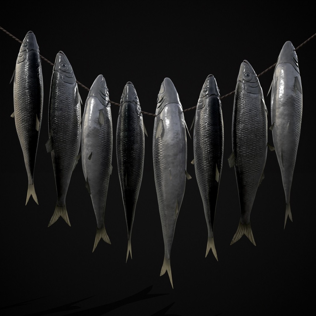 Hanging Herring Fish 3D Model – Low Poly PBR Asset, FBX & OBJ - View 14